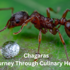 chagaras