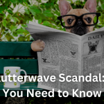 Flutterwave Scandal