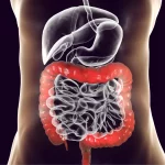The Connection Between Gut Health and Mental Health